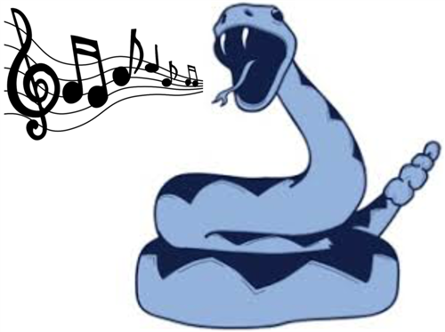Depoali choir 
